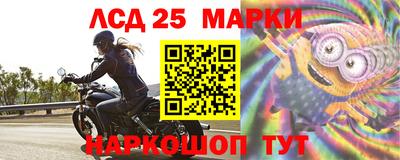 прущие крисы Нальчик