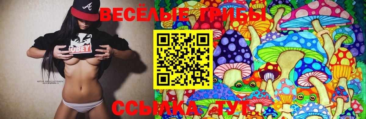 Первоуральск  Псилоцибиновые грибы Cubensis  Вход с VPN 