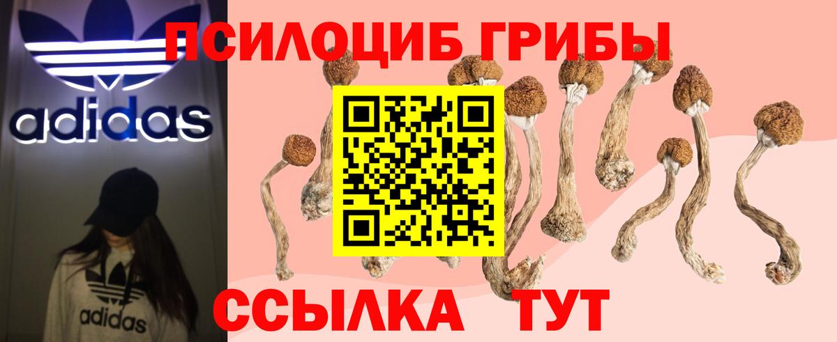 Галлюциногенные грибы MAGIC MUSHROOMS Первоуральск